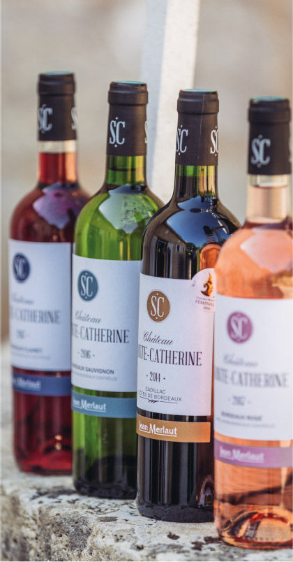 bouteilles vins chateau sainte catherine